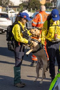 Mock rescue missions on the water