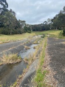 Eumemmerring Creek returning to natural state