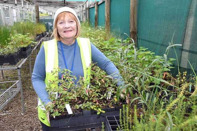 Judith Sise OAM: Environment crusader, teacher honoured