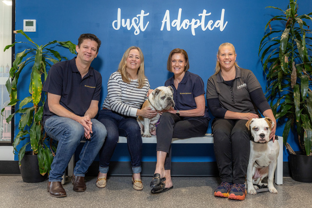 AAPS urge for responsible pet adoptions