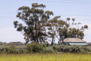 Green Wedge earthworks rejected