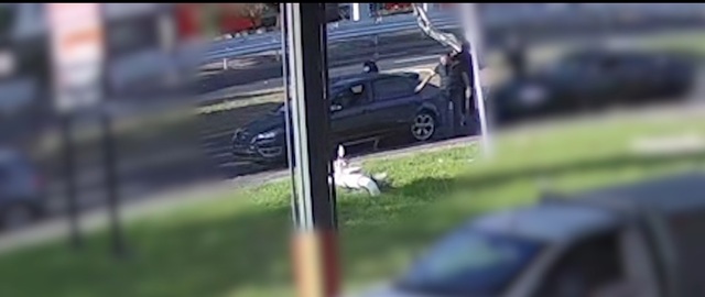 Two men wanted over alleged hit-run