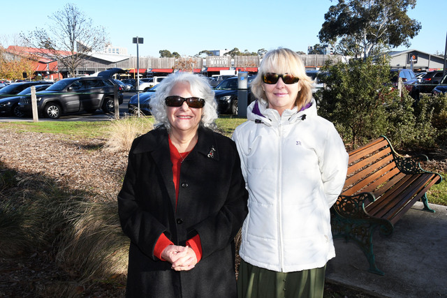 DCA slams half-Hub plan