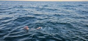 Head above water: a local swimmer’s cold, quiet, almost