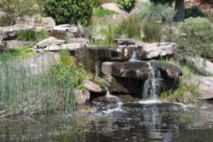 Native oasis to make first public opening