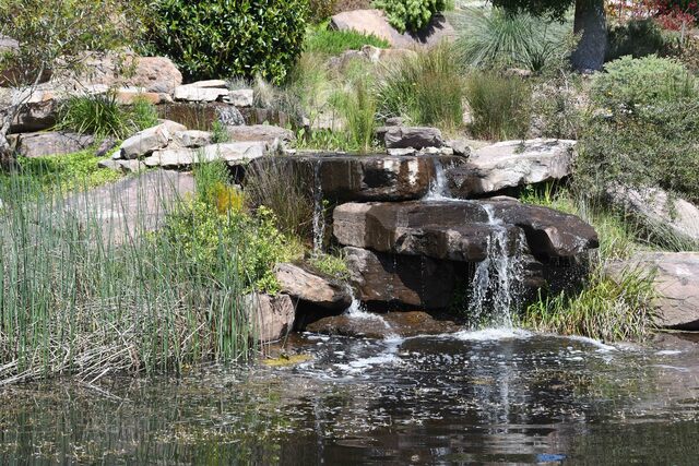 Native oasis to make first public opening