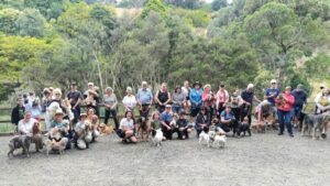 From solitude to community: ‘Talk n Dawdle’ brings locals together in Berwick