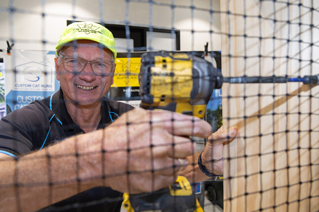 Curfews spark a run on ‘cat runs’