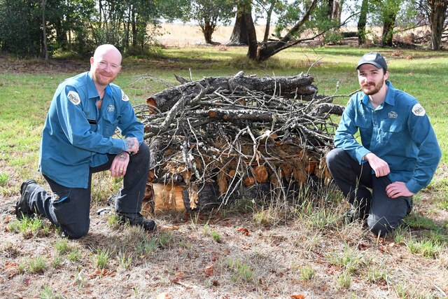 Endangered bandicoots find refuge at future Clyde park
