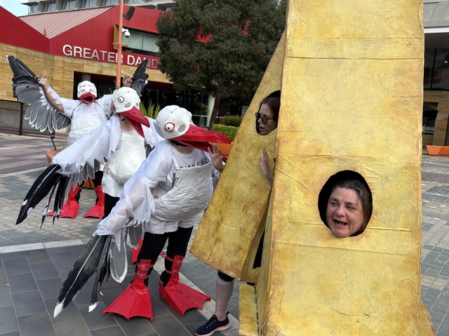 Fun theatre on the wing