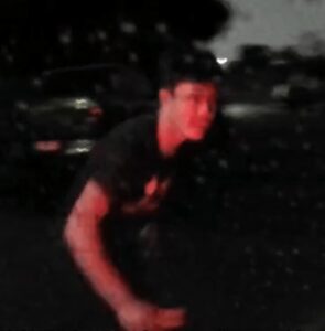 Armed duo attempt carjack in Hallam