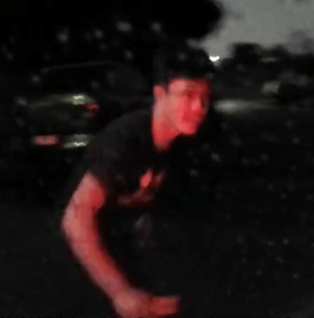 Armed duo attempt carjack in Hallam